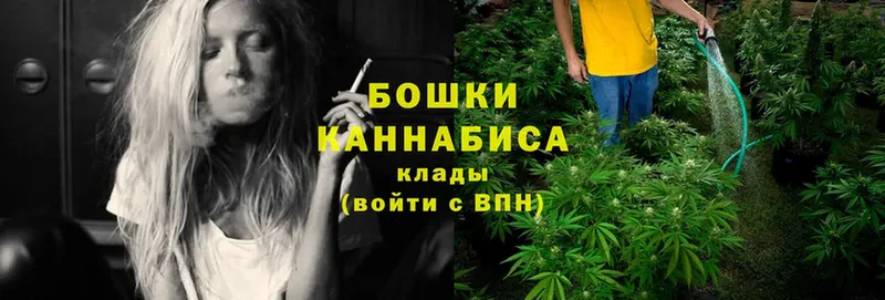 МЕГА ТОР  купить   Братск  Бошки Шишки VHQ 